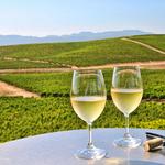 Napa Valley