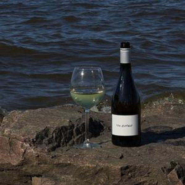 Wine Tasting For Two on our Honeymoon