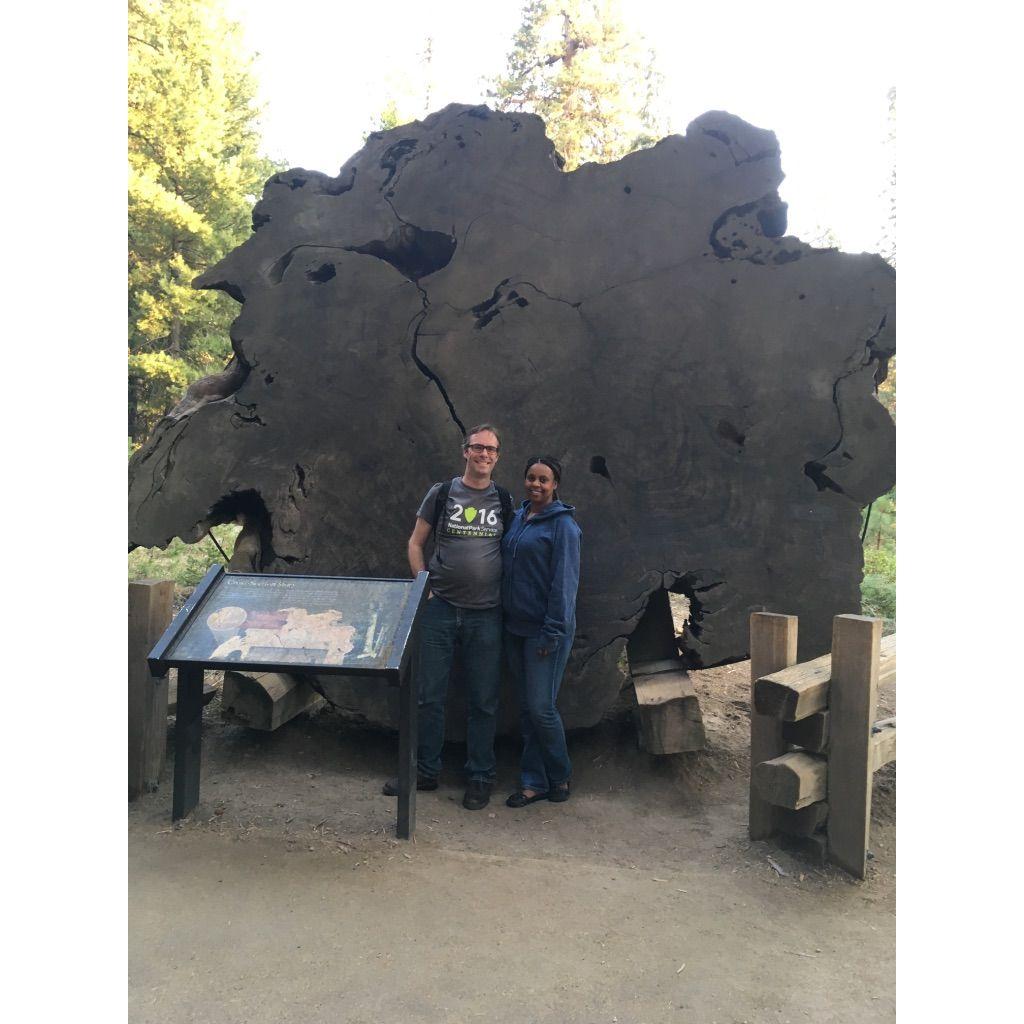 Sequoia National Park, 2016. Big tree, on its side,  behind us. Wouldn't want to be around when they fall over!