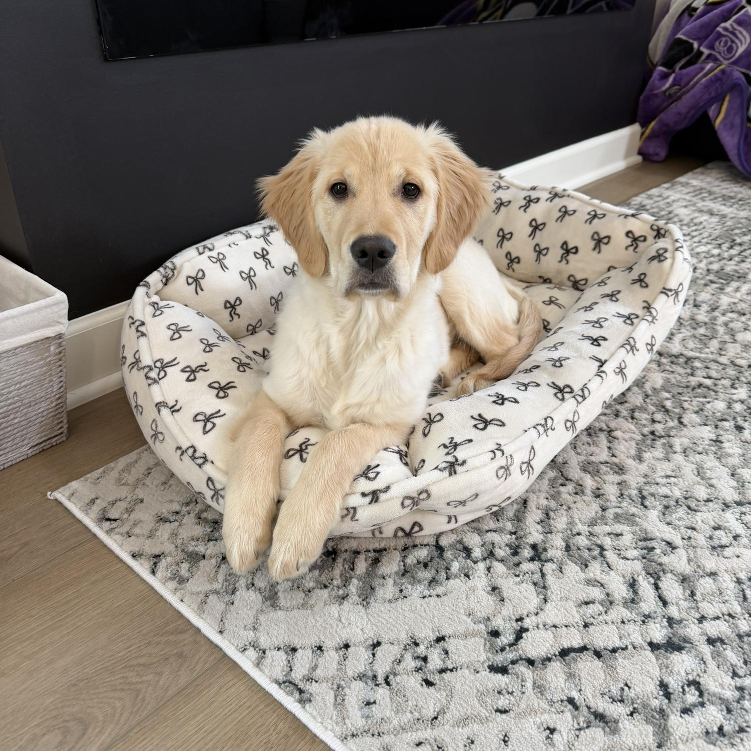 Ella💗