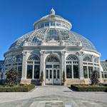 New York Botanical Garden