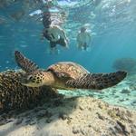 Moana Sea Scooters - Turtle Tours Rarotonga