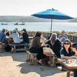 Hog Island Oyster Farm