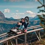fun: Alpine Coaster
