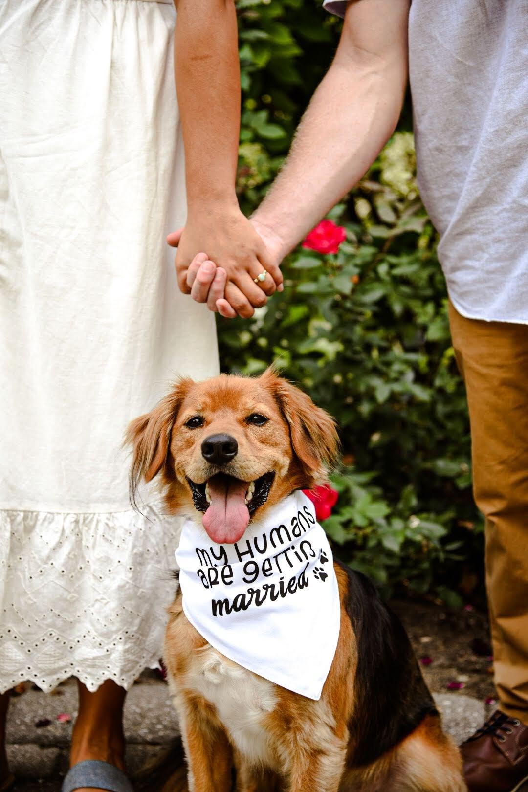 The Wedding Website of Chynna Yager and DJ Smith