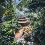 United States Botanic Garden