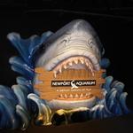 Newport Aquarium
