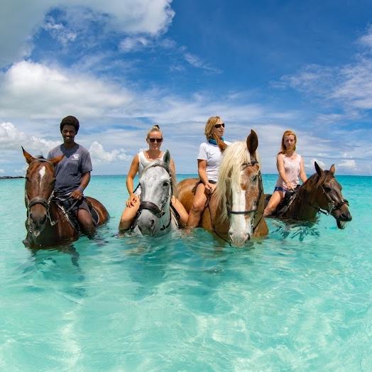 Horseback Riding on the beach in Turks and Caicos