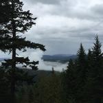 Olympic National Forest