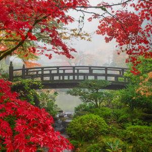Two Tickets to the Portland Japanese Garden