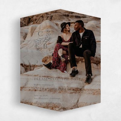 Beige Diamond Wedding Save the Date - Creston Classic
