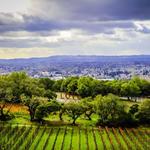 Paradise Ridge Winery