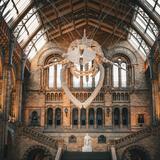 Natural History Museum