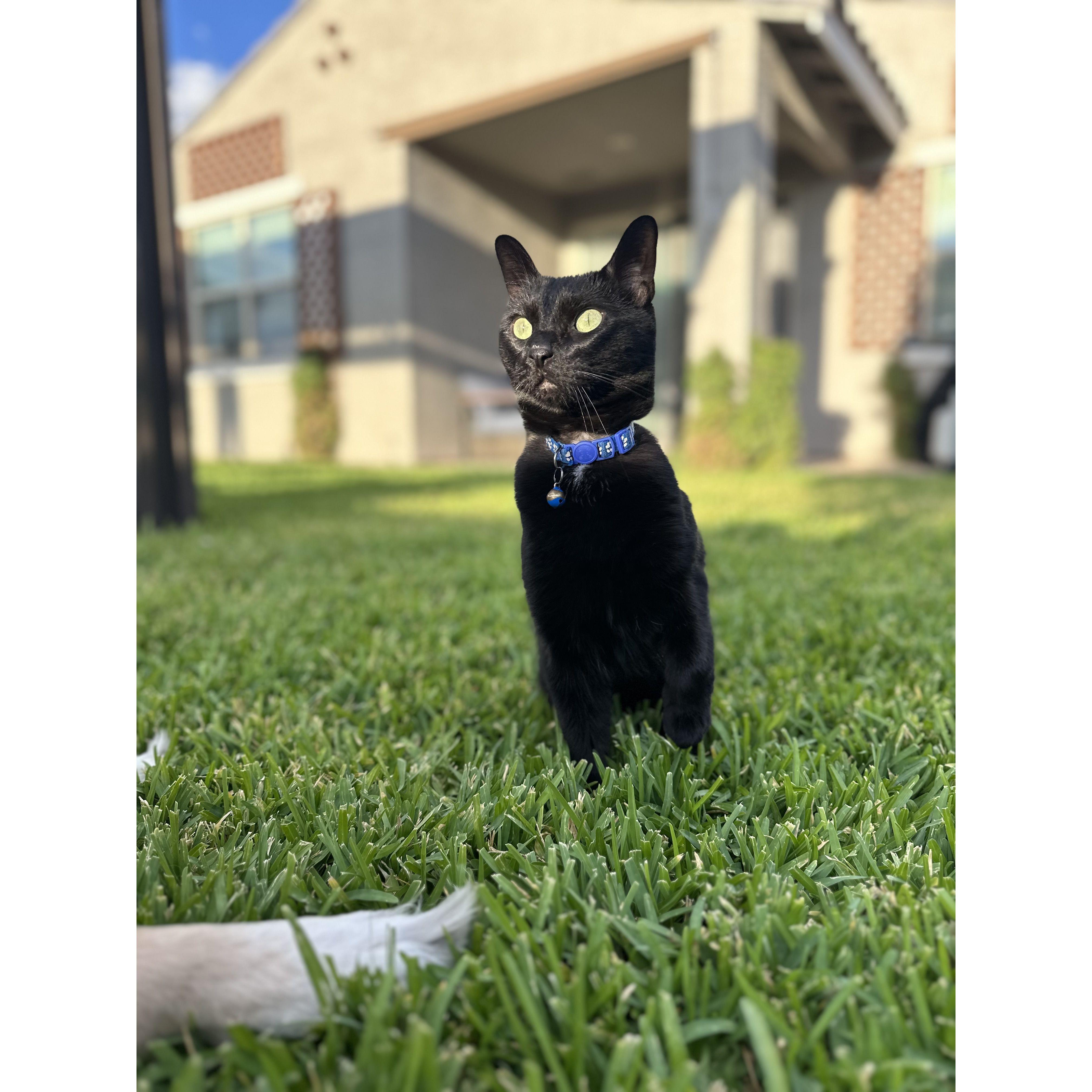 Ren, the boss.