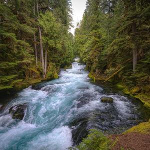 Honeymoon Road Trip to Oregon
