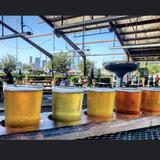 Saint Arnold Brewing Company