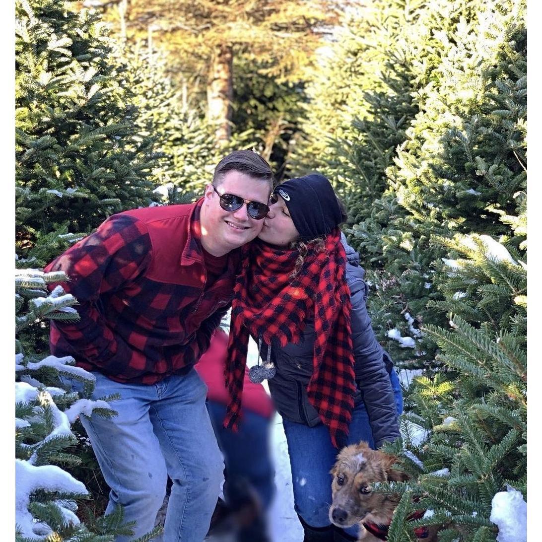 Picking out a Christmas tree
