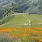 Grass Mountain Trailhead