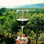 Napa