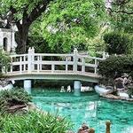 Chandor Gardens