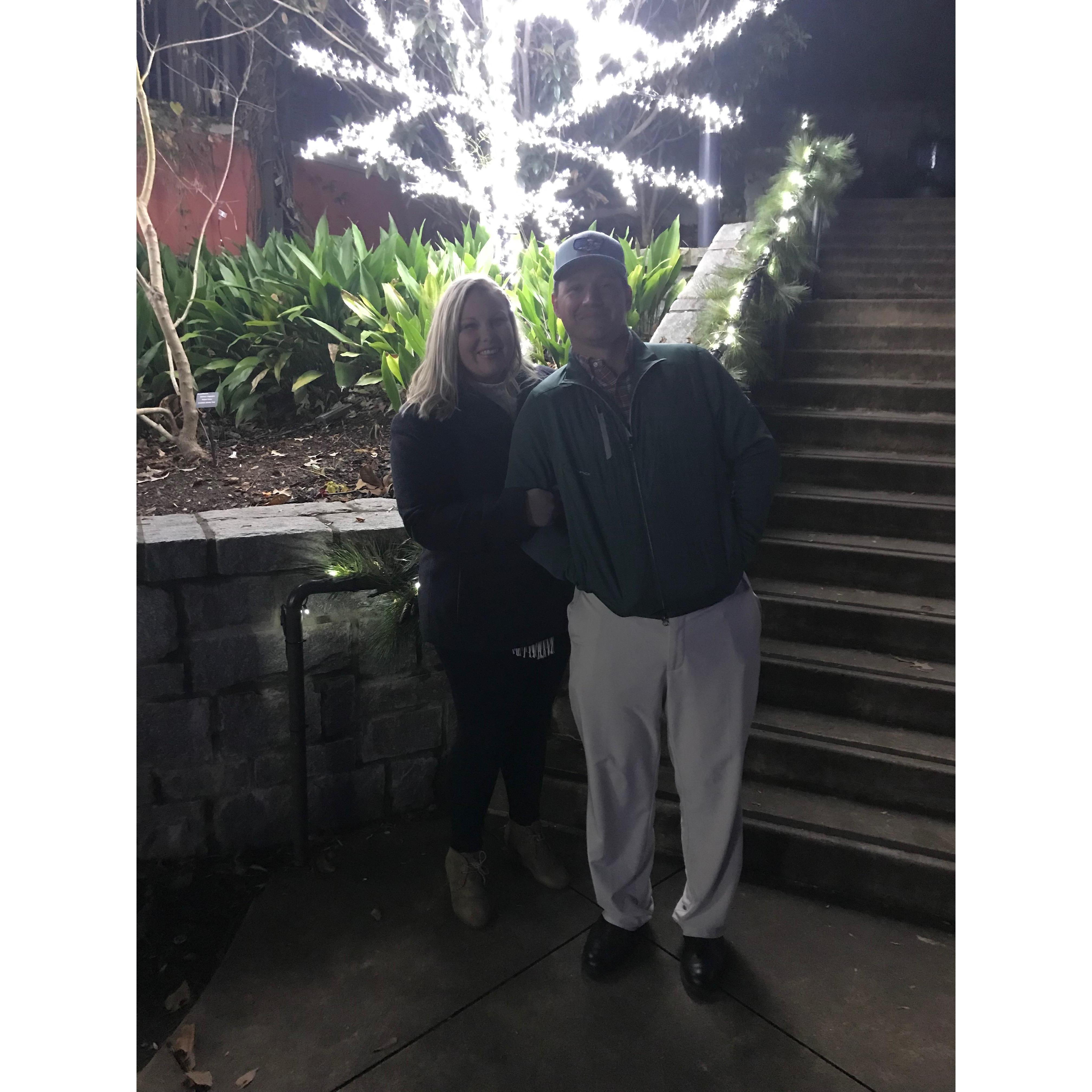 ATL botanical garden lights 2018