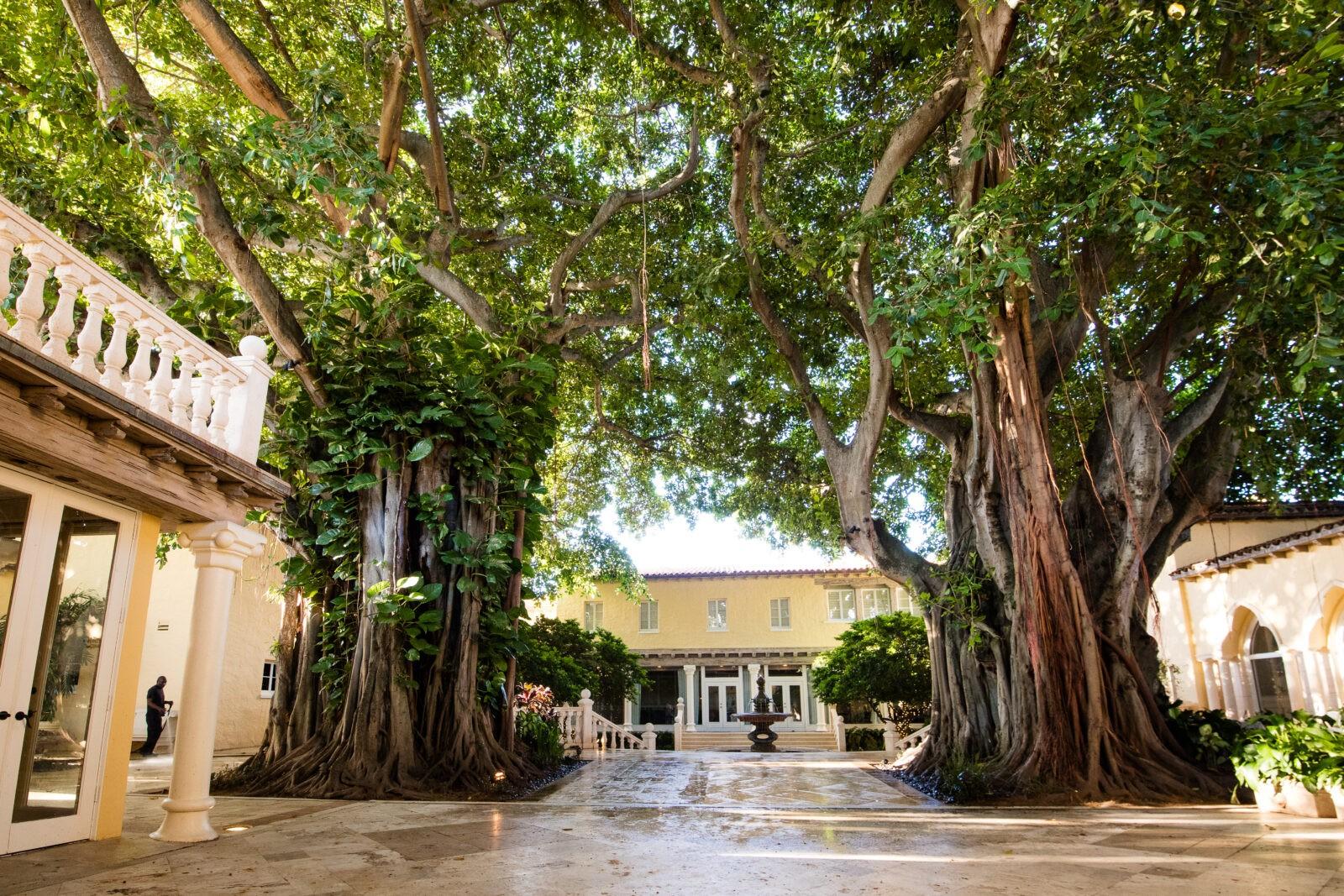 The Wedding Website of Curtis Casella and Nicole Ascolese