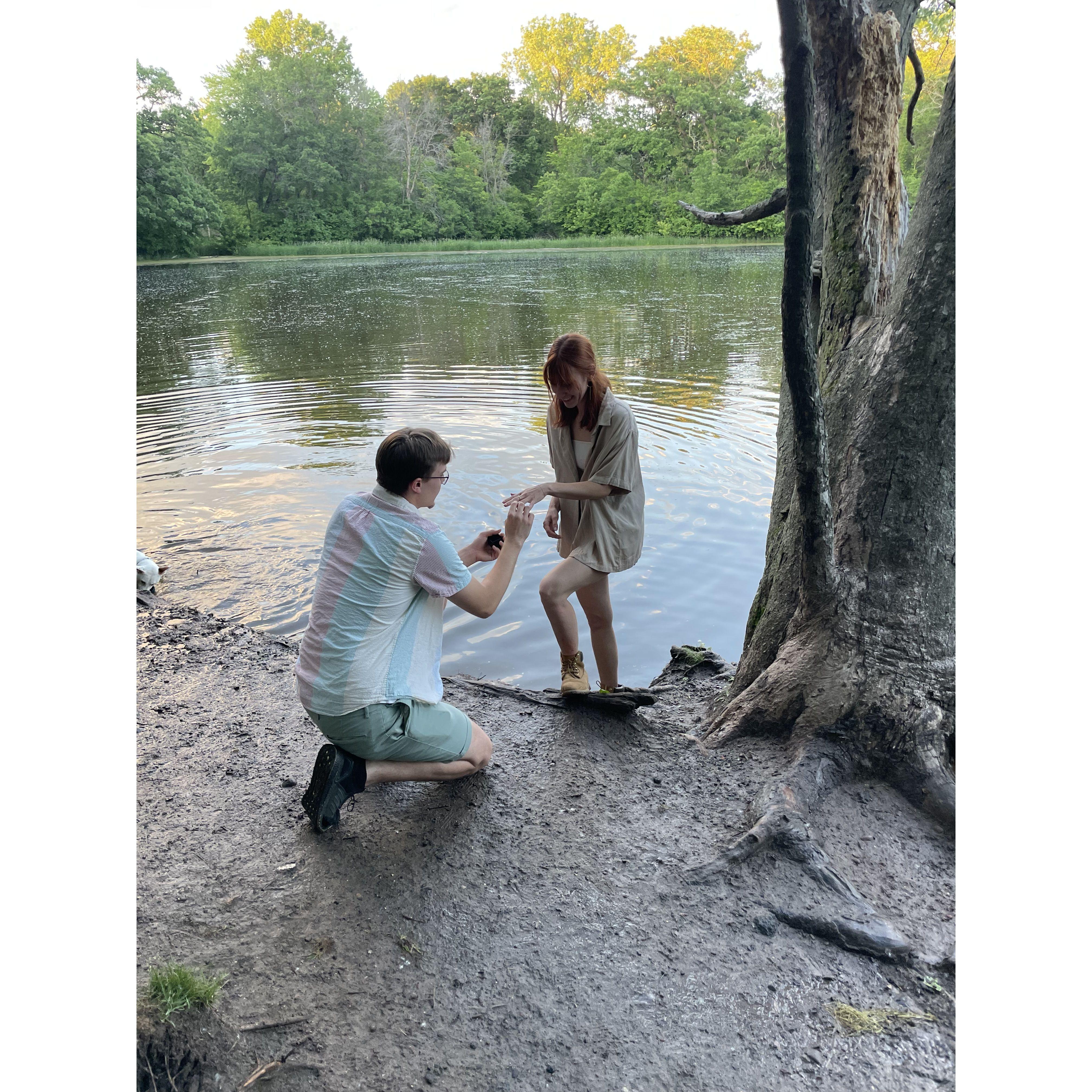 Ben Proposing at Battle Creek Dog Park 💍✨🐾
June 01, 2024