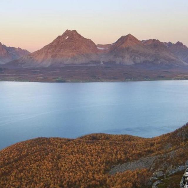 Norwegian Fjord Tour