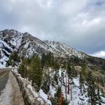 Tahoe National Forest