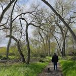 Palo Corona Regional Park