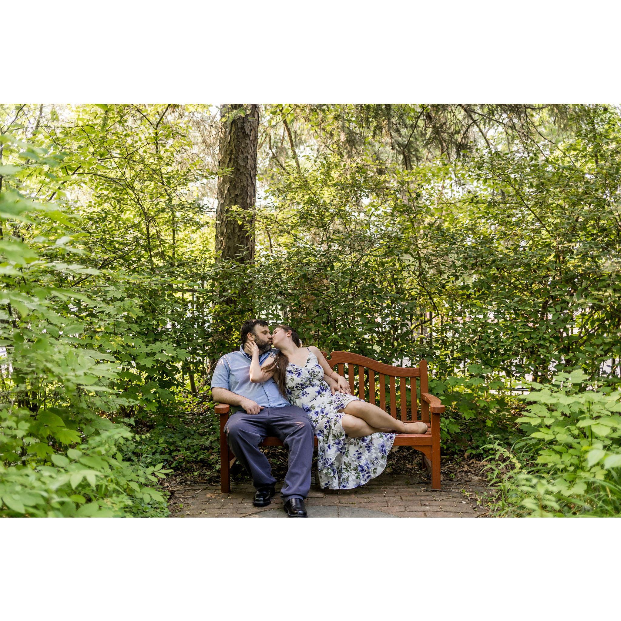 We did an Engagement photo shoot through Minnetrista's paths and gardens in June of 2023.