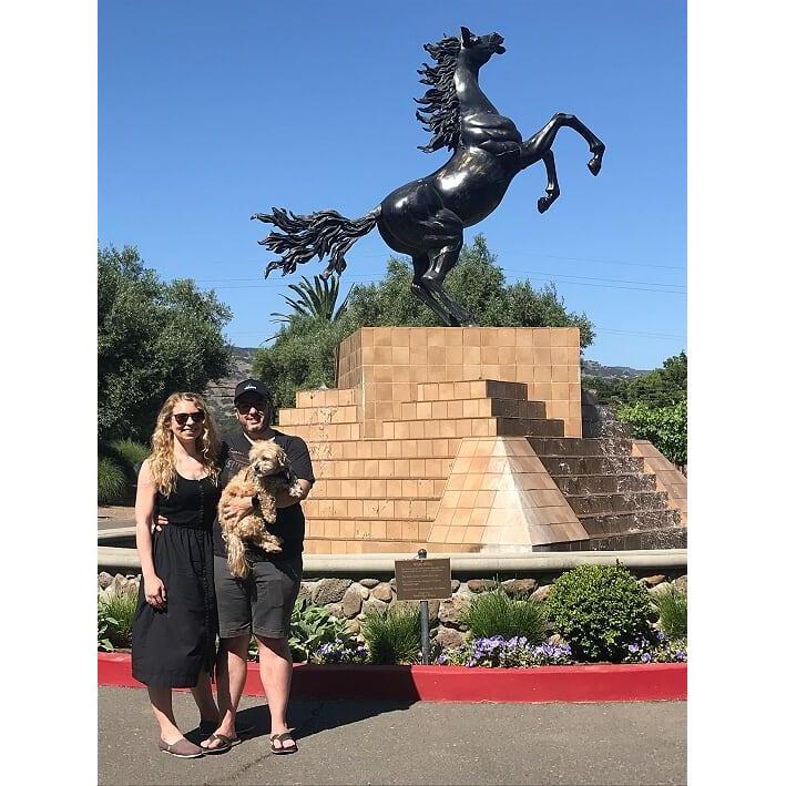 Napa, CA. June 2019.