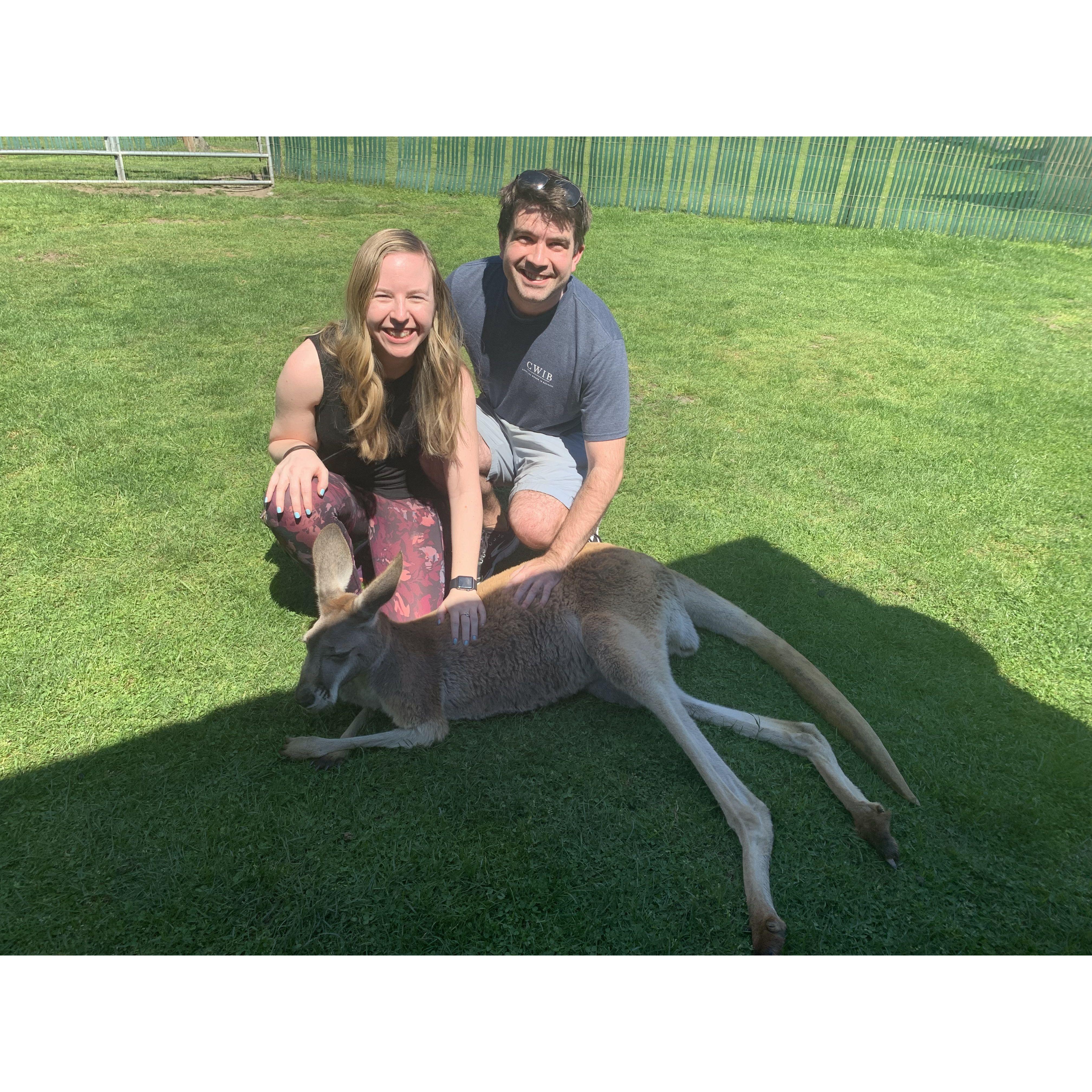 We enjoy adventure dates including a treehouse weekend and a visit to a wallaby ranch