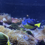 Dallas World Aquarium