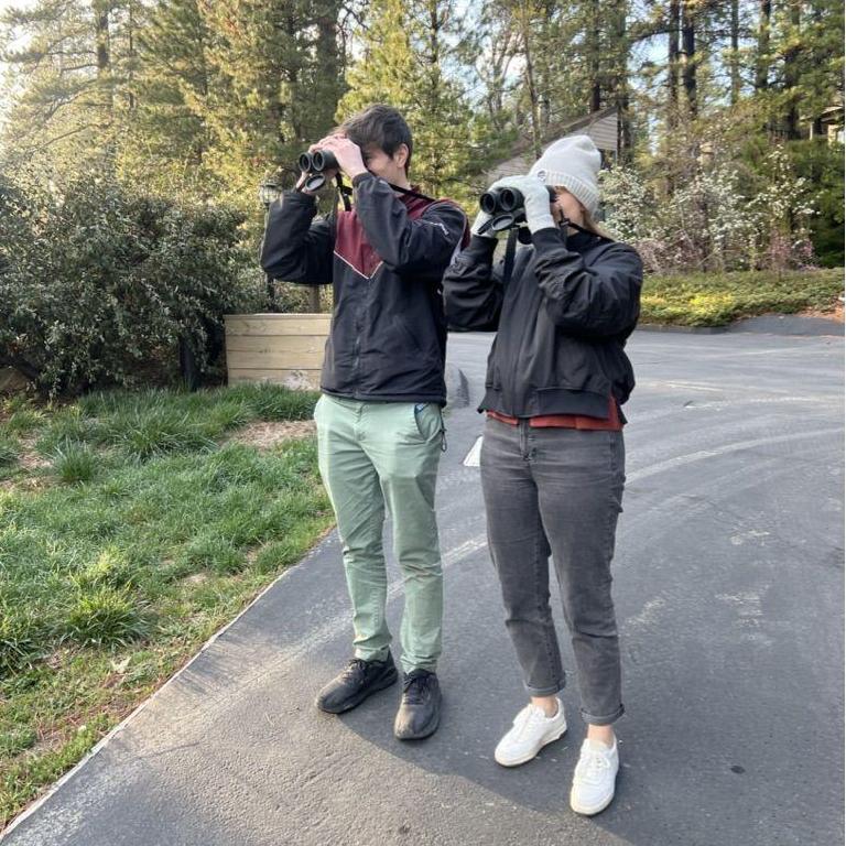 Birding in Lake Arrowhead