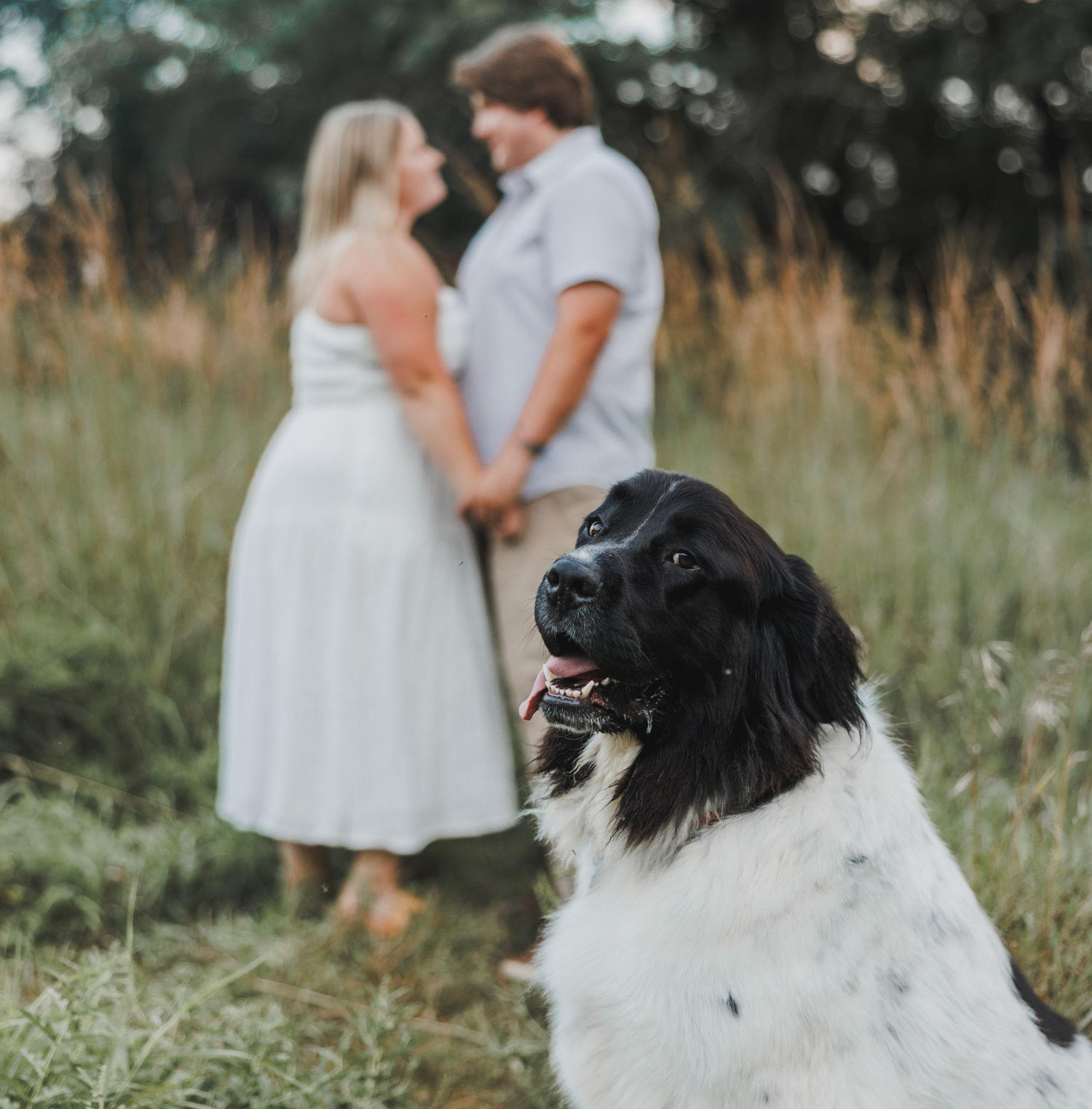 The Wedding Website of Elle Potts and Reese Kolodge