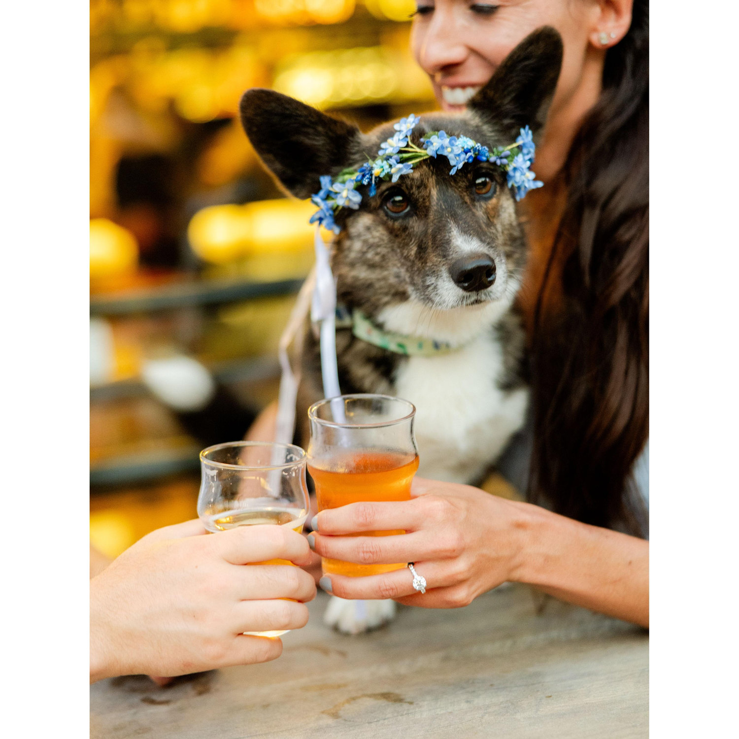 Chestnut Hill Brewery was the perfect spot to end our photoshoot