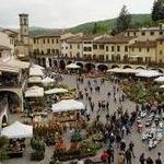 GREVE in CHIANTI