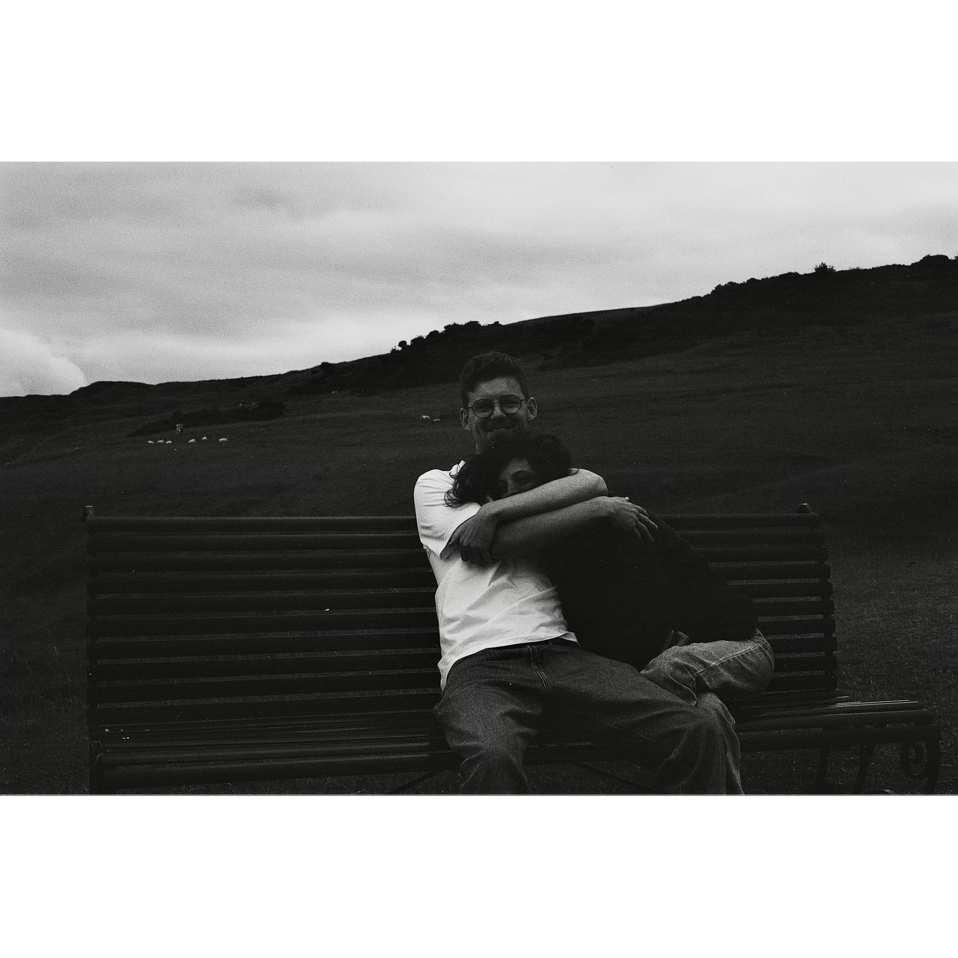 ~cheltenham~