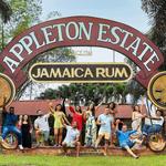 Appleton Estate