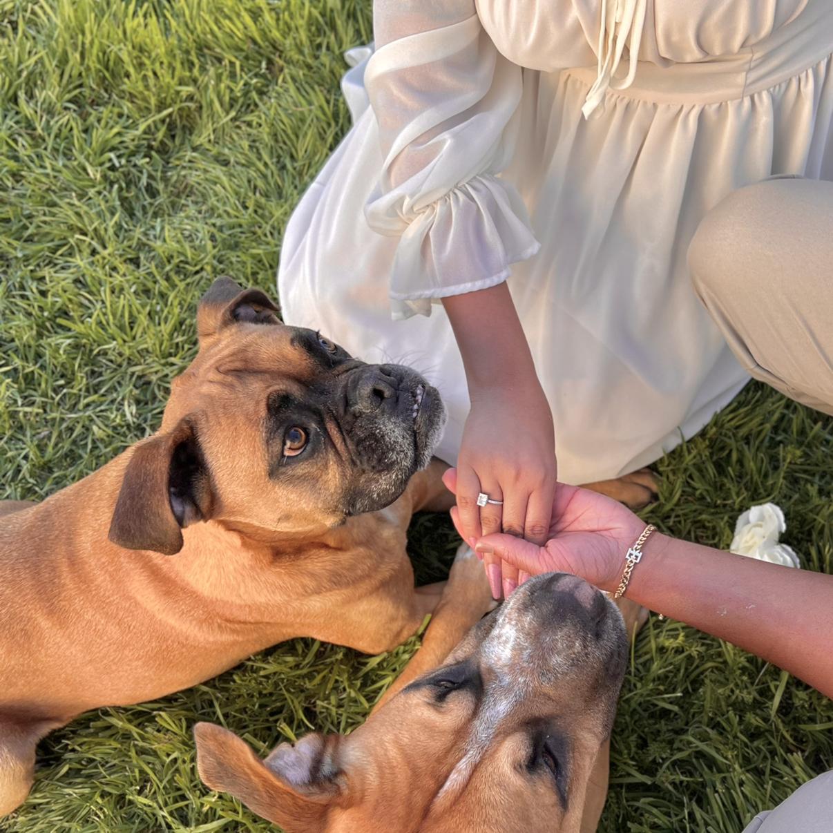 we love being dog mom & dog dad!