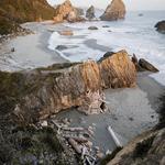 Harris Beach State Park