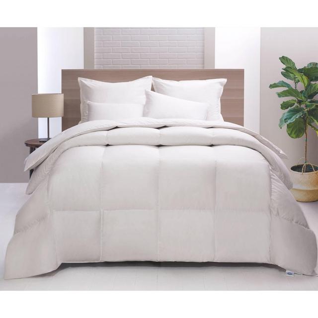 King Lightweight Feather & Down Comforter - Allied Home