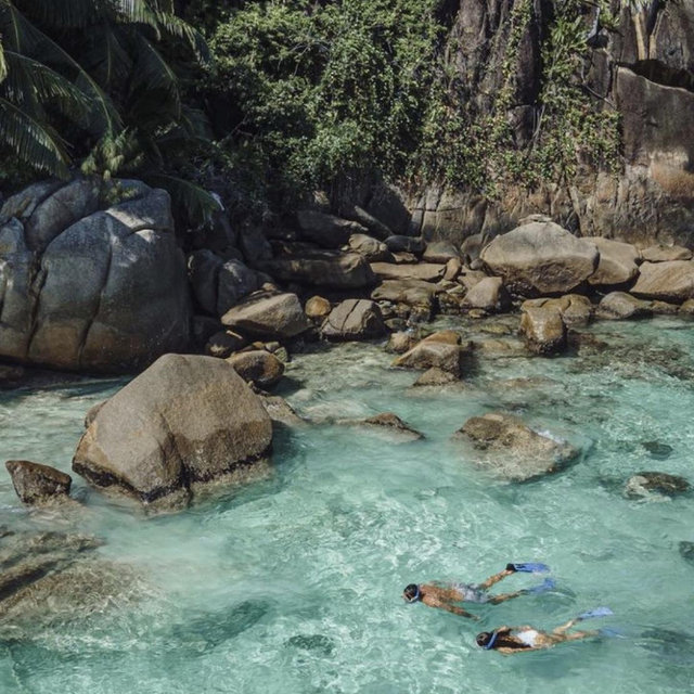 Snorkeling in Seychelles