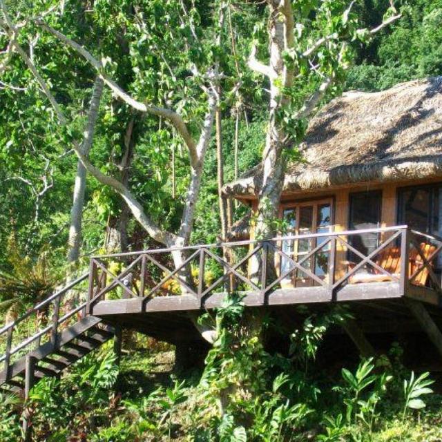 Air B&B fiji treehouse