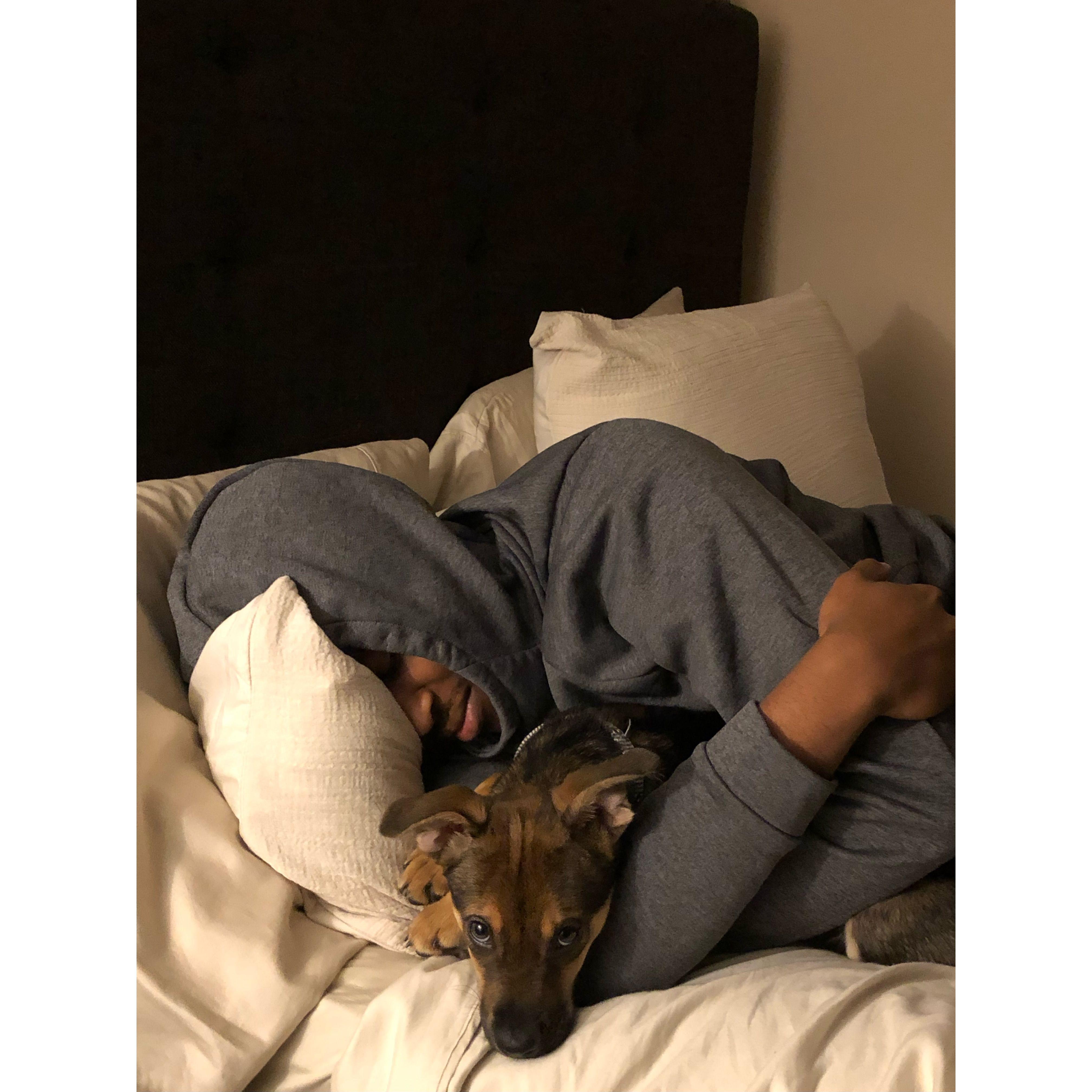 When we first got our fur baby, Huey ❤️