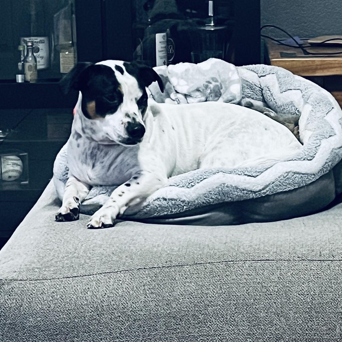 Hazel checking out her new home.
