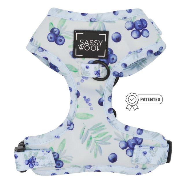 Adjustable Harness - Berry Sassy