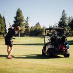 Mount Shasta Resort