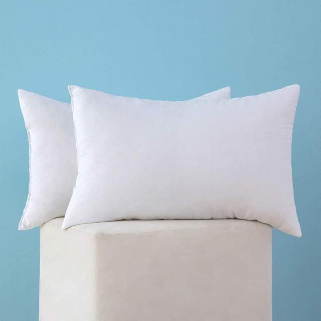 MIULEE Set of 2 Throw Pillow Inserts Premium Pillow Stuffer Rectangle Form for Decorative Cushion Bed Couch Sofa 12x24 Inch